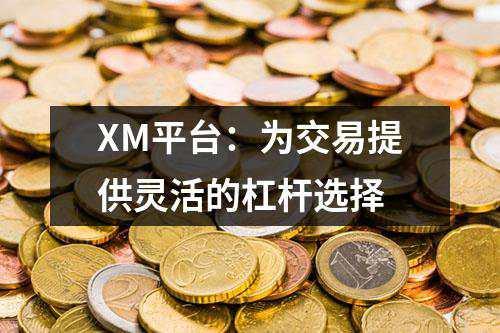 XM平台：为交易提供灵活的杠杆选择(图1)
