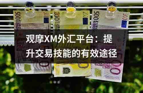 XM外汇平台观摩！提升交易技能的有效途径(图1)