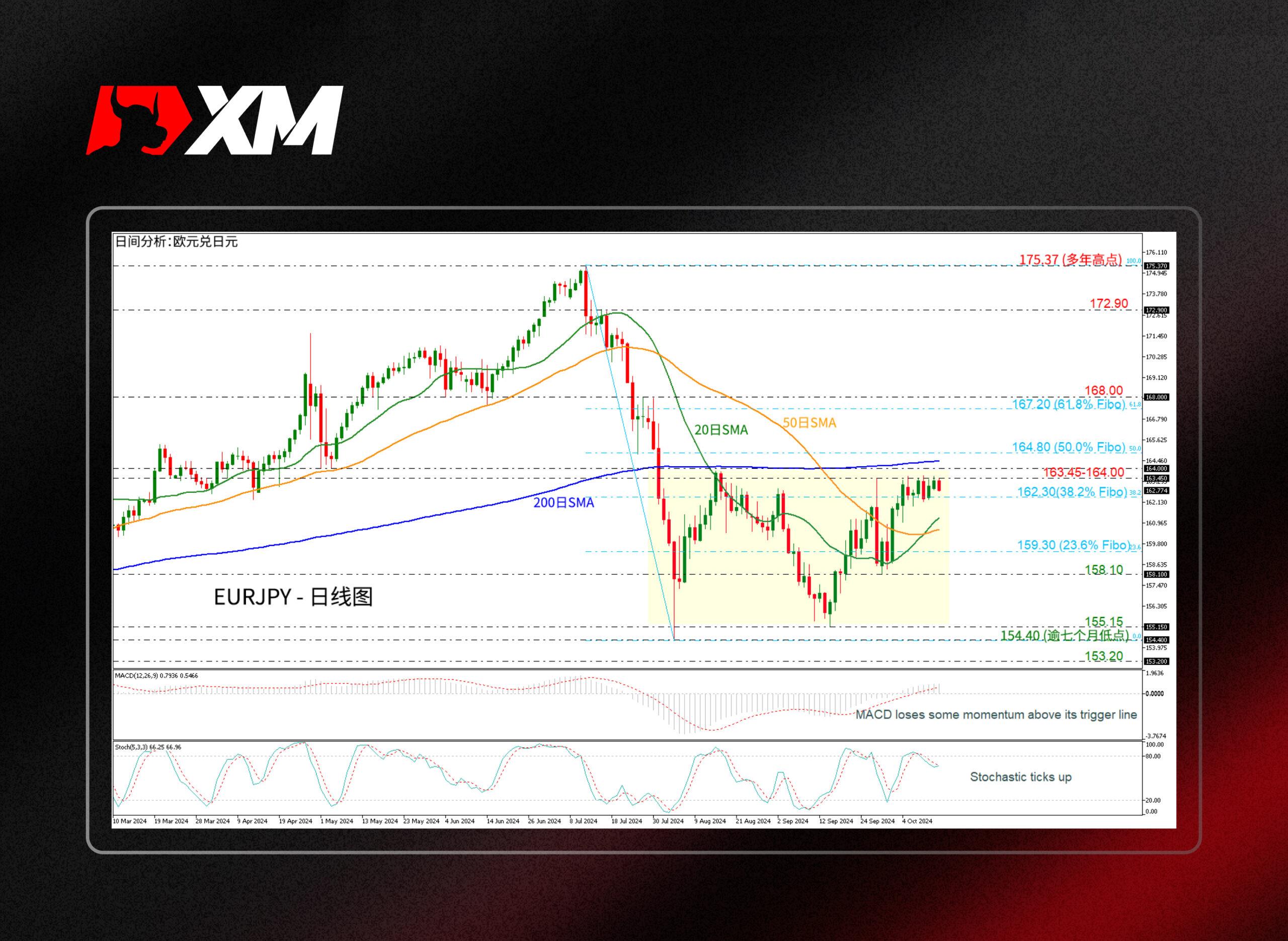 XM外汇技术分析，– EURJPY测试强劲阻力区间163.45-164.00(图1)